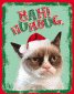 grumpycat's picture