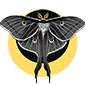 Prince-Moth's picture