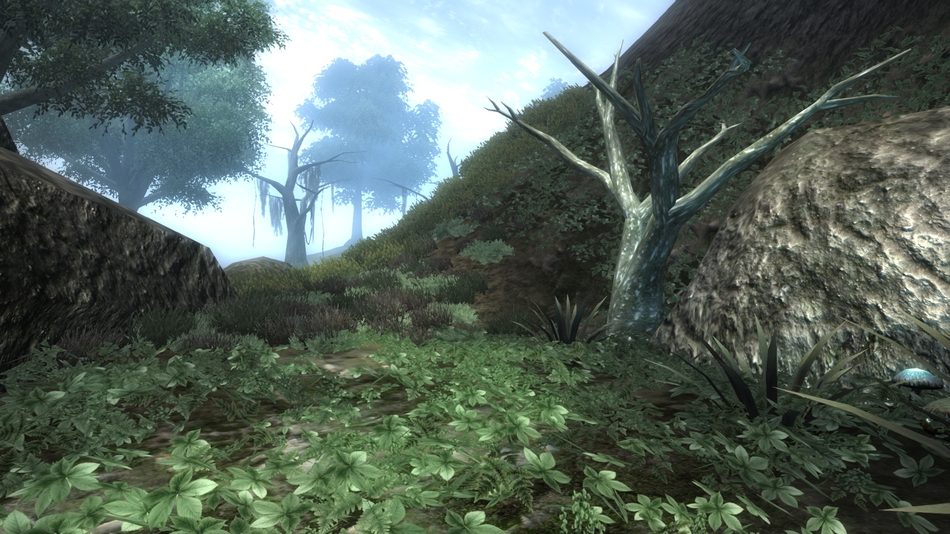 Outside Seyda Neen