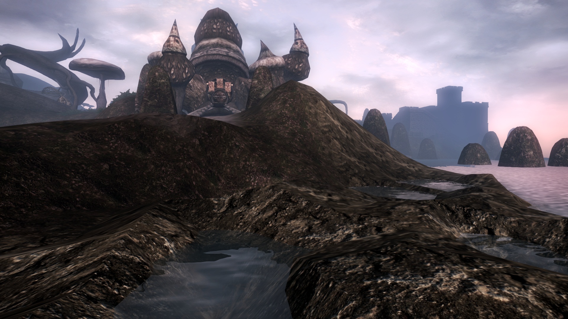 Tel Mora with Tidepools