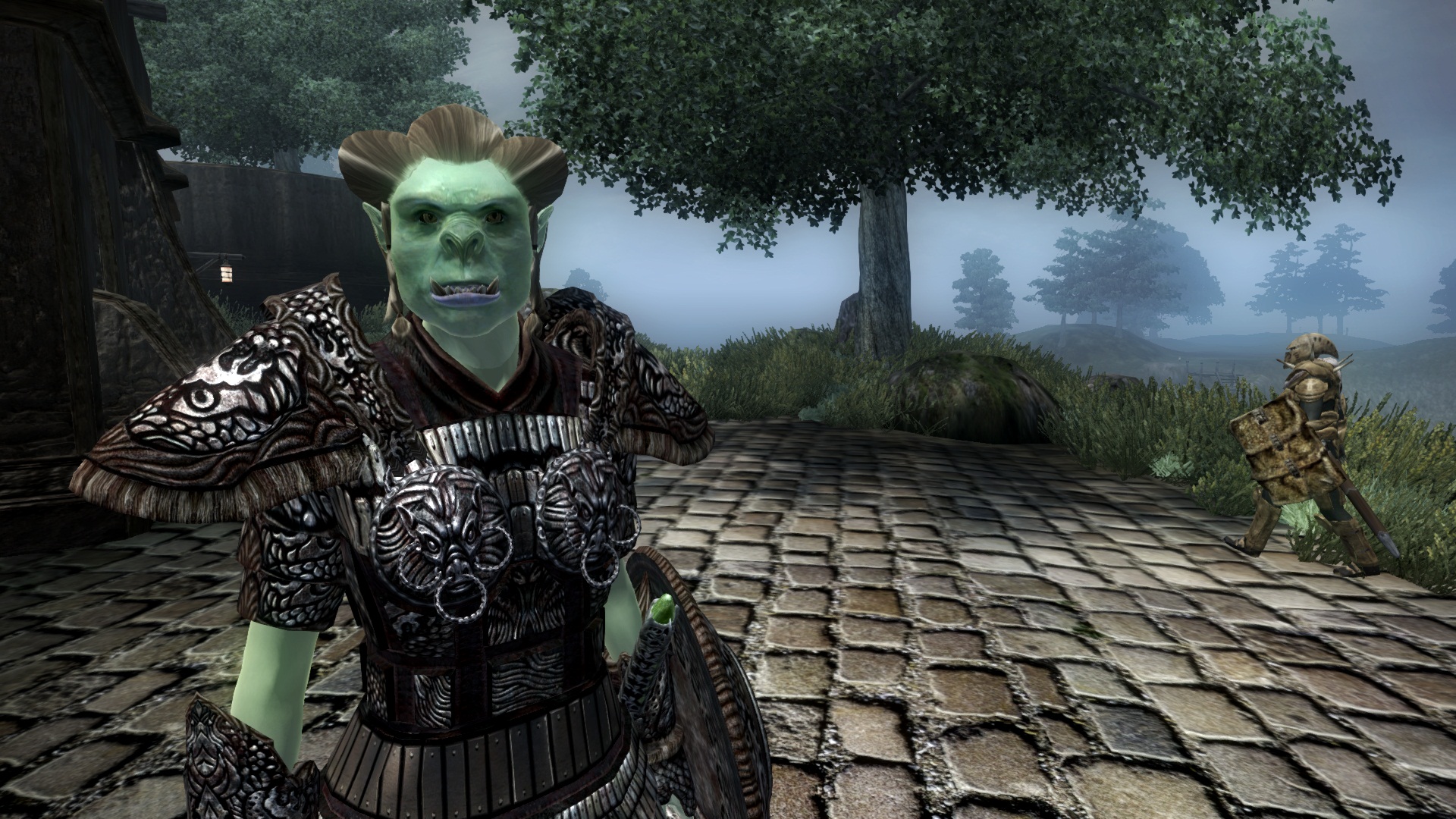 Orc Warrior in Suran