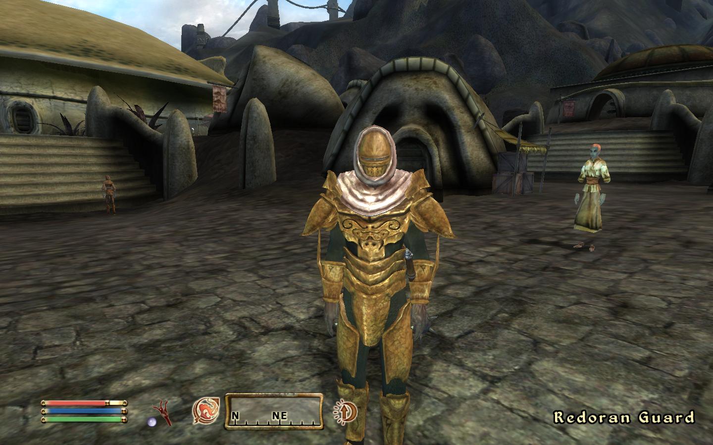 Redoran Guard
