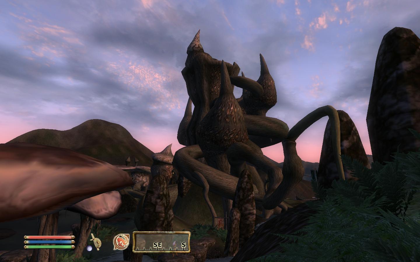 Tel Mora