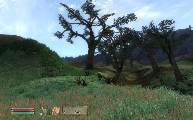 The Grazelands