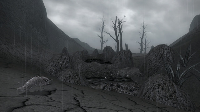 Scrib waiting in the lava flow