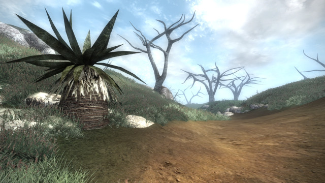 Hackle-Lo Plant