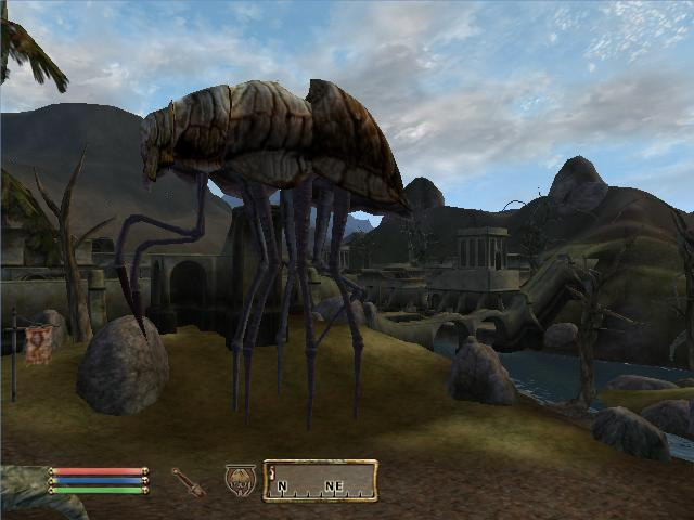 siltstrider.JPG