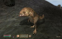 Guar