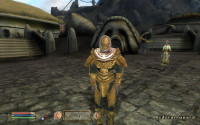 Redoran Guard