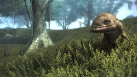 Tame Guar