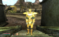 Balmora Hlaalu Guard